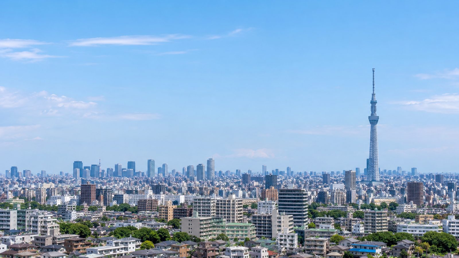 東京の街並みとスカイツリーの遠景